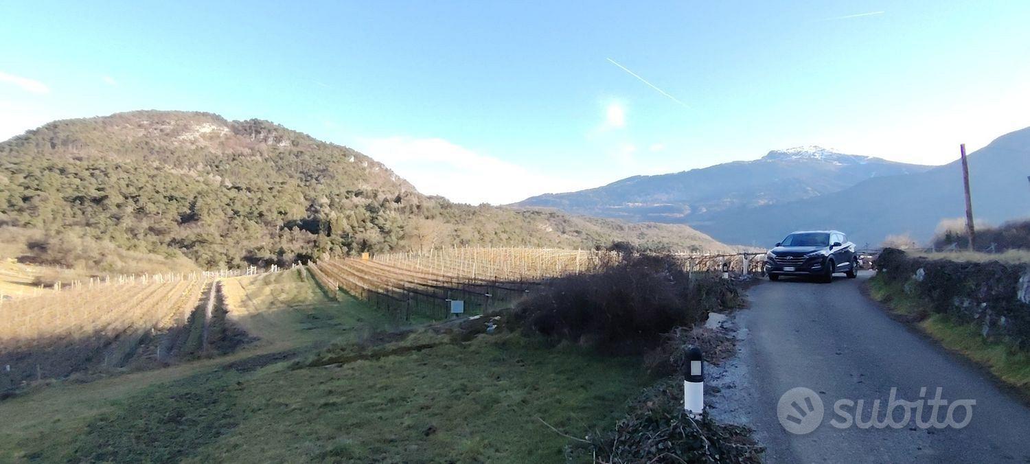 Terreno, Vallelaghi. - Vista 4