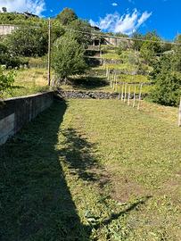 Terreno agricolo