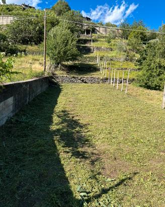 Terreno agricolo