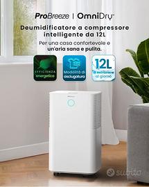 Deumidificatore 12L WIFI