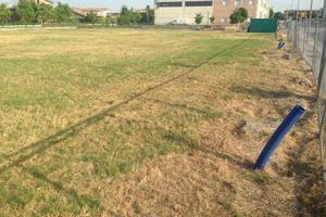 Cesenatico lotto artigianale