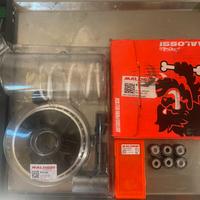 Variatore Malossi Multivar per Honda SH 300