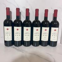 Castello del terriccio 2019