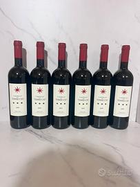 Castello del terriccio 2019