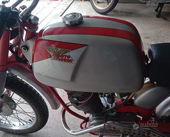  serbatoio scrambler corsarino