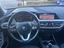 Immagine 14