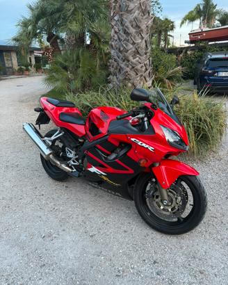 Honda CBR 600 F Sport 2002 tenuta maniacalmente