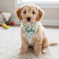 Bandana personalizzata
