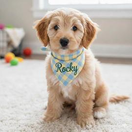 Bandana personalizzata