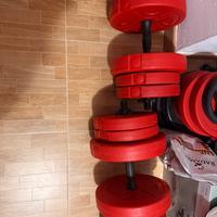 Manubri da 5 kg a  20