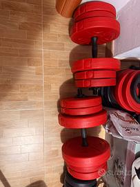 Manubri da 5 kg a  20