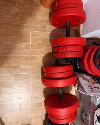 Manubri da 5 kg a  20