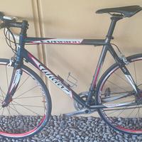 Bicicletta da corsa - WILIER TRIESTINA Evasion