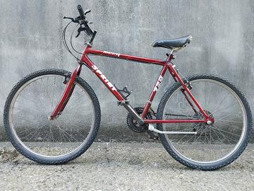 bicicletta