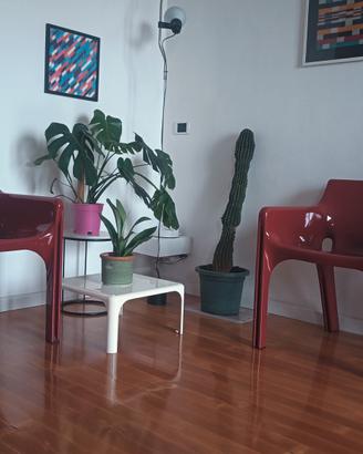 sedie gaudi Artemide 