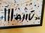Immagine 5