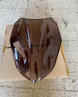 CUPOLINO FUMÈ BMW XR