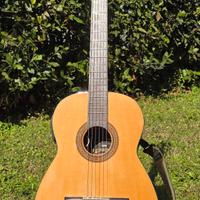 Chitarra amplificata marca M Kono  