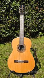 Chitarra amplificata marca M Kono  