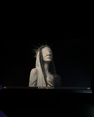 Monitor HP 24 pollici FHD