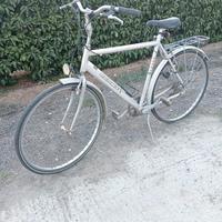 bici da passeggio