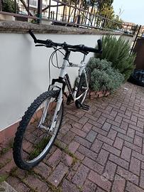 MTB 26'' marchio Casadei 