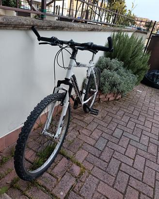 MTB 26'' marchio Casadei 