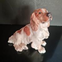 Cane  porcellana di Meissen