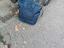 Immagine 5