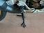 Immagine 7