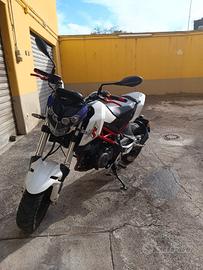 Benelli TNT 125