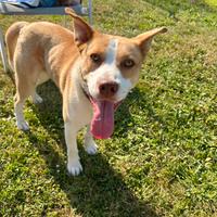 Una famiglia per flash