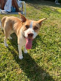 Una famiglia per flash