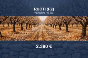 Immobile in asta di 11603 m² a Ruoti