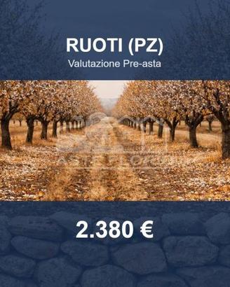 Immobile in asta di 11603 m² a Ruoti