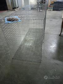 voliera per pappagalli 