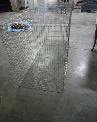 voliera per pappagalli 