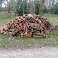 Catasta di legna Rubinia(acacia)