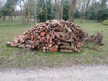 Catasta di legna Rubinia(acacia)