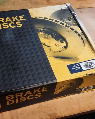 Kit 2 freni disco - BREMSI - CD6521V