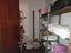 Immagine 29