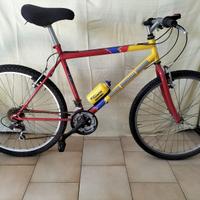 Bici MTB 26 Doniselli