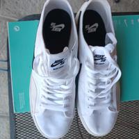 Scarpe Nike SB