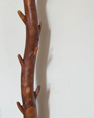 Apoendiabiti etnico