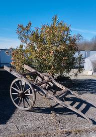 ANTICO CARRO AGRICOLO DUE RUOTE