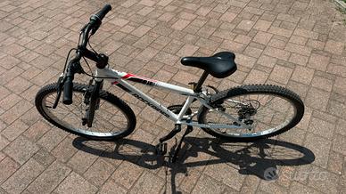ROCKRIDER ST 100 - 24 POLLICI