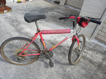 Bicicletta mountain-bike