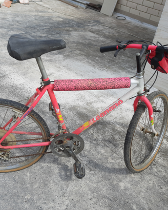 Bicicletta mountain-bike