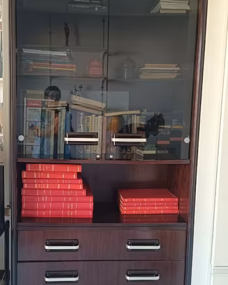 Mobile libreria