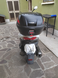 Kawasaki j300